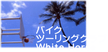 oCN c[ONu White Horse